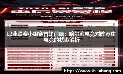 职业联赛小组赛首轮前瞻：哈尔滨电竞对阵枣庄电竞的状态解析
